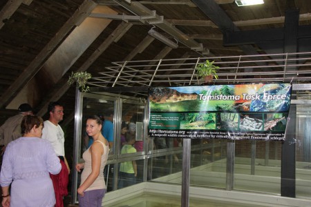 zoo-protivin-krokodyli-zoologicka-zahrada - den-ohrozenych-krokodylu